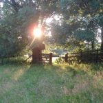 campsites