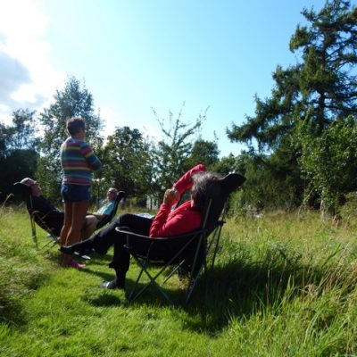 Relaxing in the medow