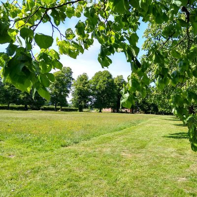 Village green space