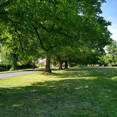 Part of the village green