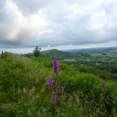 View from path on the Malvern hills