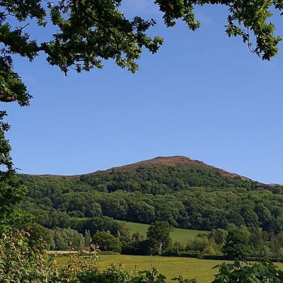 View of the Britsh camp hill fort from over the hedge of the campsite